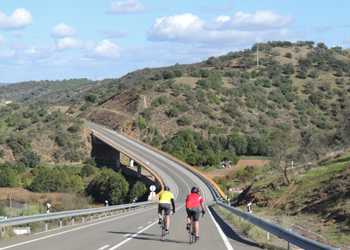 OPEN Road 6D