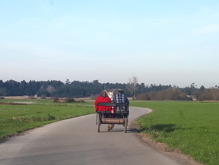 Radfahren durch Nebenstraßen