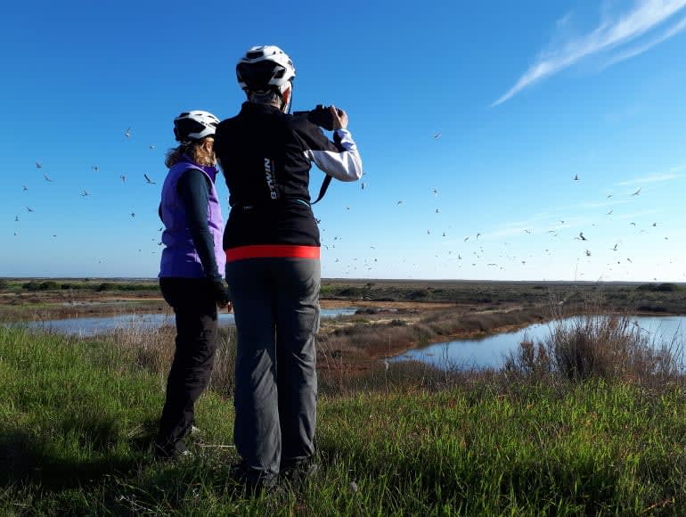 cycling, birdwatching, ria formosa natural park