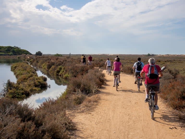 Bike Tour Ria Formosa Natural Park, cycling wonders portugal, nature cycling