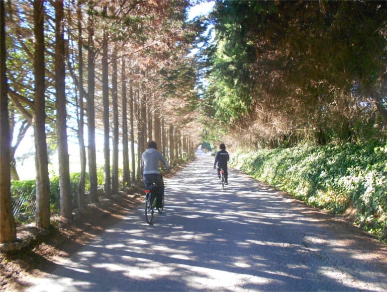 Cycling Cabanas de Tavira, bike secondary roads, bike backroads