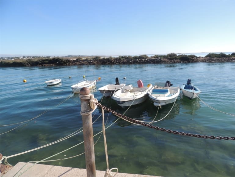 Fuseta boats, river, fishing traditions biking