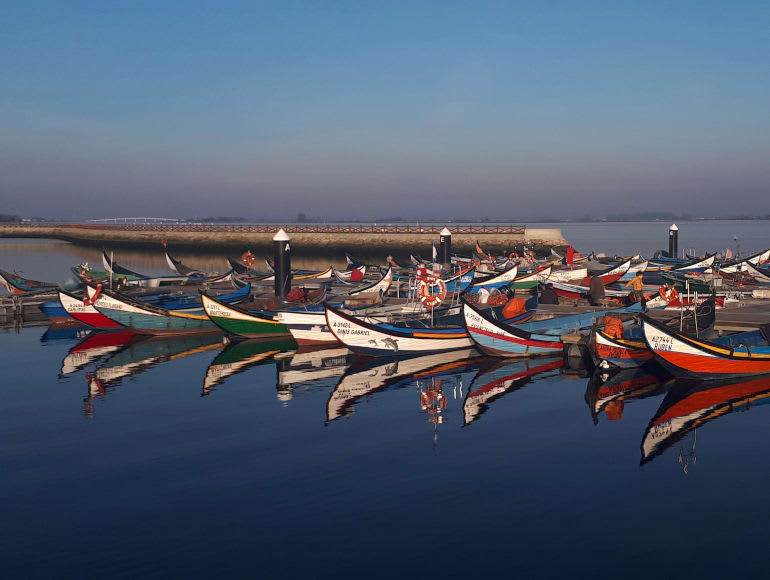 traditional boats, Ria de Aveiro