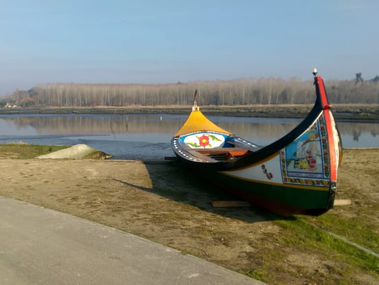 typical Aveiro boats, moliceiros, discover Portugal cycling