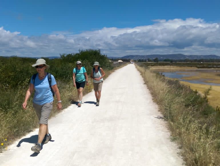 Side walk in ria formosa