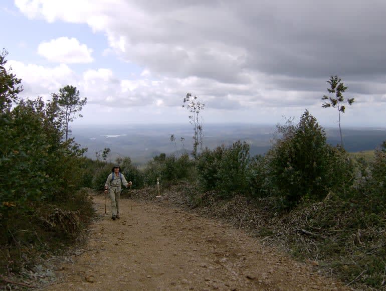 Walk on trails 