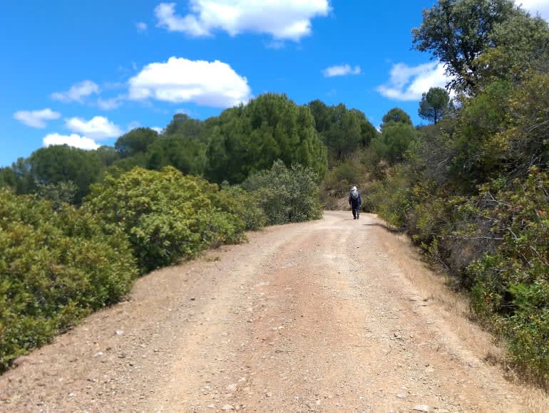 Walk on trills next to the river 