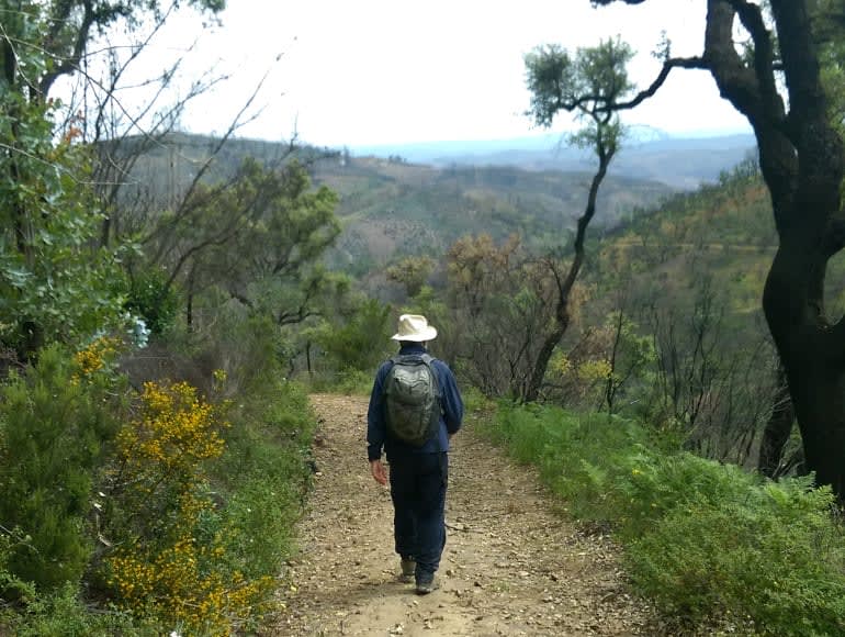 Balade dans la nature