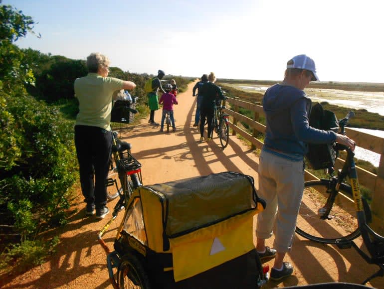 Vue d'arrêt à ria formosa