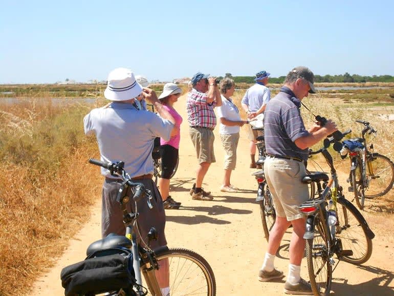 Groupe cycliste dans la ria formosa