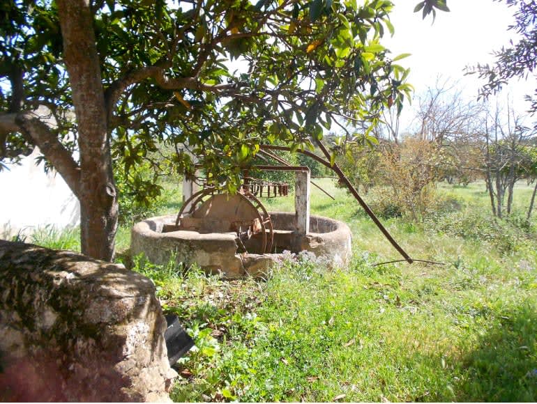 Poco no campo 