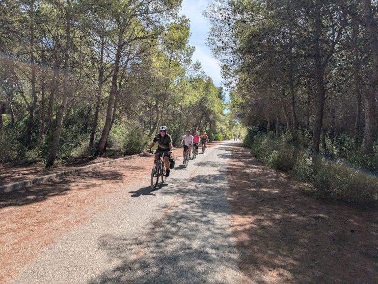 Excursões guiadas de Elche a Valência | MegaSport Travel